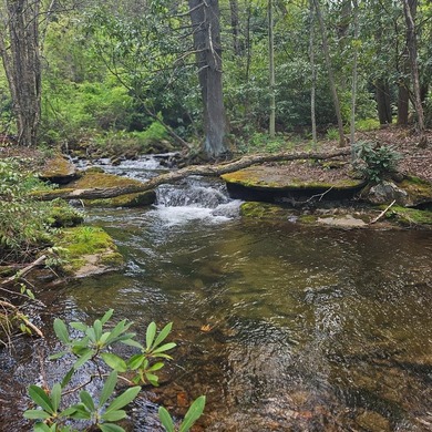 At nearly 3,500 ft elevation, this 8.06-acre mountain property - photo 3