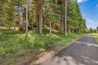 Timeless mountain lodge coupled with new mountain modern - photo 23
