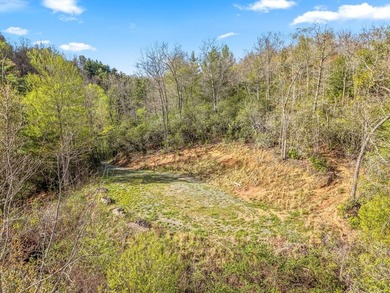 At nearly 3,500 ft elevation, this 8.06-acre mountain property - photo 5