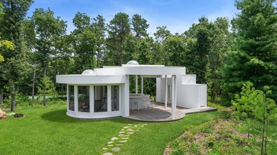 Introducing a breathtaking East Hampton contemporary sanctuary - photo 25