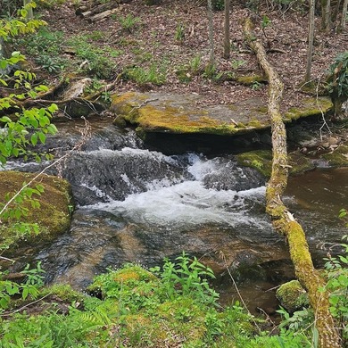 At nearly 3,500 ft elevation, this 8.06-acre mountain property - photo 8