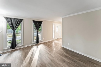 Stunning Colonial in Coveted Aquia Harbour - Modern Charm Meets - photo 8