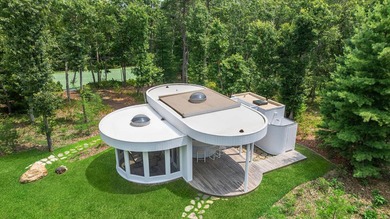 Introducing a breathtaking East Hampton contemporary sanctuary - photo 29