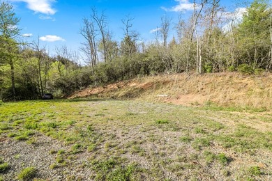 At nearly 3,500 ft elevation, this 8.06-acre mountain property - photo 10