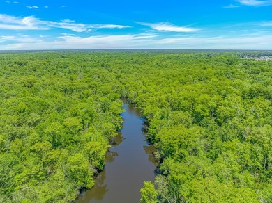 Welcome to the gated community of Rivers Edge Plantation, where - photo 42
