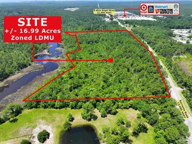 Direct Access Sorrento Rd Parcel For Sale in Pensacola, FL. The - photo 5