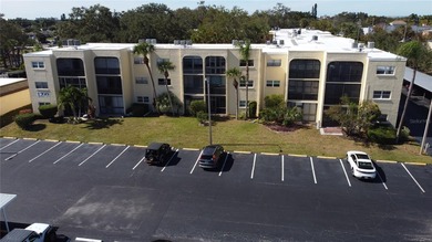 (private lake, pond, creek) Condo For Sale in Largo Florida