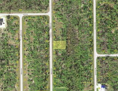 This vacant lot backs up to a greenbelt / preserve giving you - photo 1