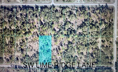 Bonable Lake Lot For Sale in Dunnellon Florida