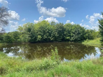 (private lake, pond, creek) Acreage For Sale in Como Texas