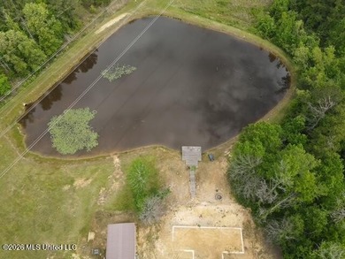 THE COPIAH 171 IS A TURNKEY PROPERTY LOCATED APPROXIMATELY 11 - photo 1