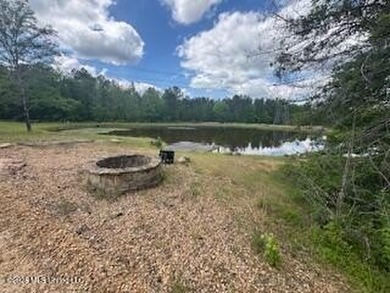 THE COPIAH 171 IS A TURNKEY PROPERTY LOCATED APPROXIMATELY 11 - photo 3