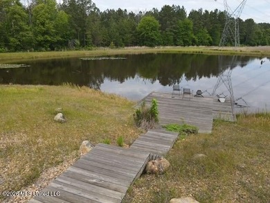 THE COPIAH 171 IS A TURNKEY PROPERTY LOCATED APPROXIMATELY 11 - photo 4