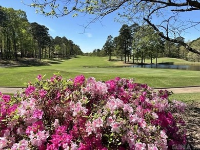 Owners relocated to Hilton Head Island for professional reasons - photo 40