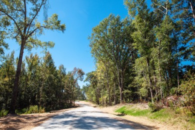 Strom Thurmond / Clarks Hill Lake Lot For Sale in Appling Georgia