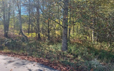 Lake Lot For Sale in Young Harris, Georgia