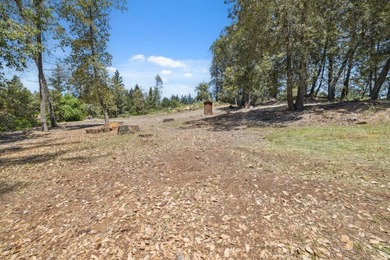 Build-ready 1.6-acre parcel in Bonny Doon with two optional - photo 2