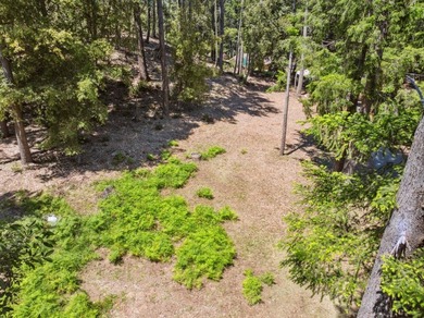 Build-ready 1.6-acre parcel in Bonny Doon with two optional - photo 3