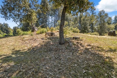 Build-ready 1.6-acre parcel in Bonny Doon with two optional - photo 7