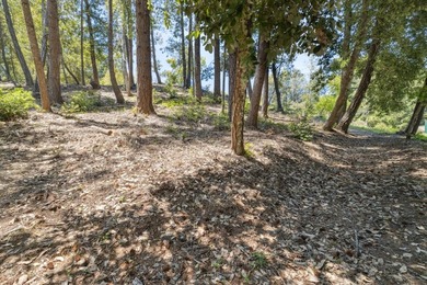 Build-ready 1.6-acre parcel in Bonny Doon with two optional - photo 8