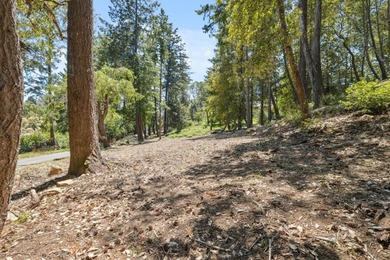 Build-ready 1.6-acre parcel in Bonny Doon with two optional - photo 9