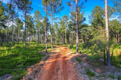 Strom Thurmond / Clarks Hill Lake Lot For Sale in Appling Georgia