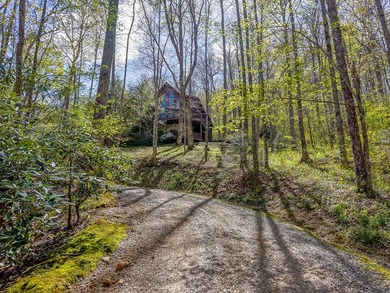 Elevated mountain luxury awaits in the gated community of - photo 4