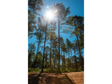 Strom Thurmond / Clarks Hill Lake Lot For Sale in Appling Georgia