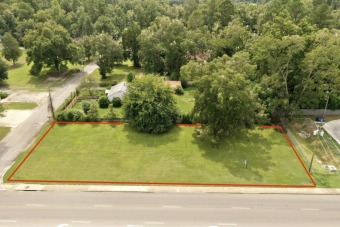 Commercial Lot Offering 200 Feet of Frontage on Hwy 78!  - Lake Lot For Sale in Saint George, South Carolina