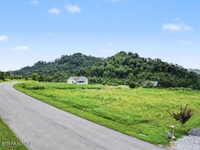 Don't miss this gorgeous lakeview lot ready to build your dream - photo 7