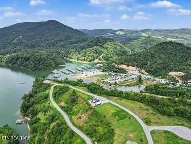 Don't miss this gorgeous lakeview lot ready to build your dream - photo 9