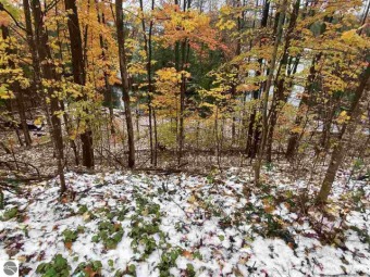 Antrim County Chain of Lakes Lot Sale Pending in Bellaire Michigan