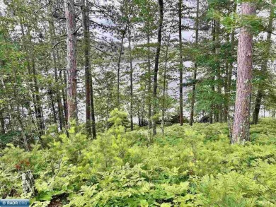 Lake Acreage For Sale in Cook, Minnesota