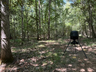 Located in Hickory, Mississippi, this premier 194+/- acre - photo 11