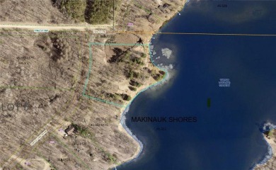 Lake Acreage For Sale in Turtle Lake Twp, Minnesota