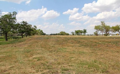 Palo Duro Creek Business Park Development Tracts. 6.32 acres in - photo 12