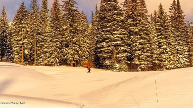 Offering true ski-in/ski-out convenience and views of the north - photo 12