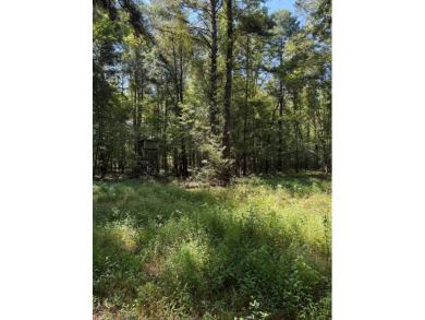 Located in Hickory, Mississippi, this premier 194+/- acre - photo 12