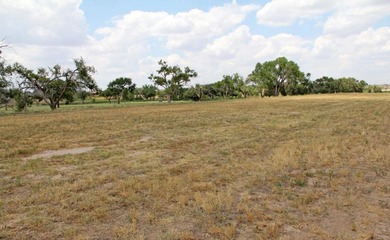 Palo Duro Creek Business Park Development Tracts. 6.32 acres in - photo 13