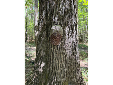 Located in Hickory, Mississippi, this premier 194+/- acre - photo 14