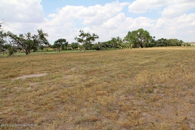 Palo Duro Creek Business Park Development Tracts. 6.32 acres in - photo 15