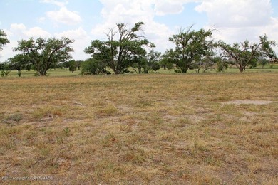 Palo Duro Creek Business Park Development Tracts. 6.32 acres in - photo 16