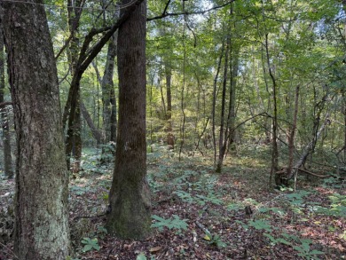 Located in Hickory, Mississippi, this premier 194+/- acre - photo 16