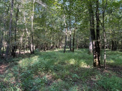 Located in Hickory, Mississippi, this premier 194+/- acre - photo 17