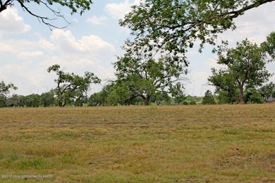 Palo Duro Creek Business Park Development Tracts. 6.32 acres in - photo 18