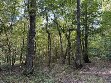 Located in Hickory, Mississippi, this premier 194+/- acre - photo 21