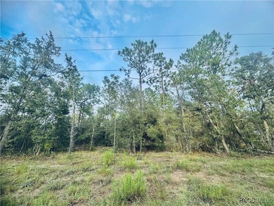 Bonable Lake Lot For Sale in Dunnellon Florida