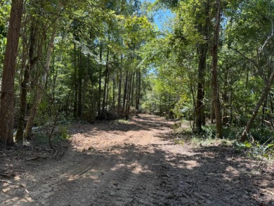 Located in Hickory, Mississippi, this premier 194+/- acre - photo 22