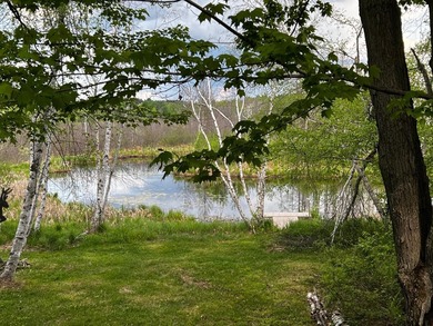 Welcome to C17 Lot 51 at Pathfinder Village! A rare riverfront - photo 2