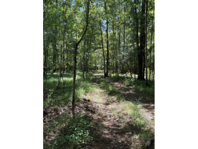 Located in Hickory, Mississippi, this premier 194+/- acre - photo 24